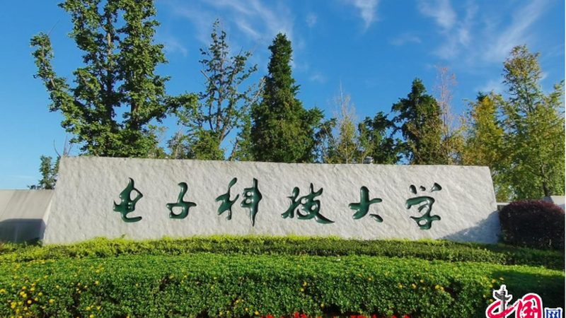 电子元件价格合理性的考量因素