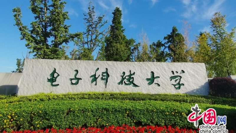 汽车线路板：揭秘其背后的技术奥秘与品牌选择